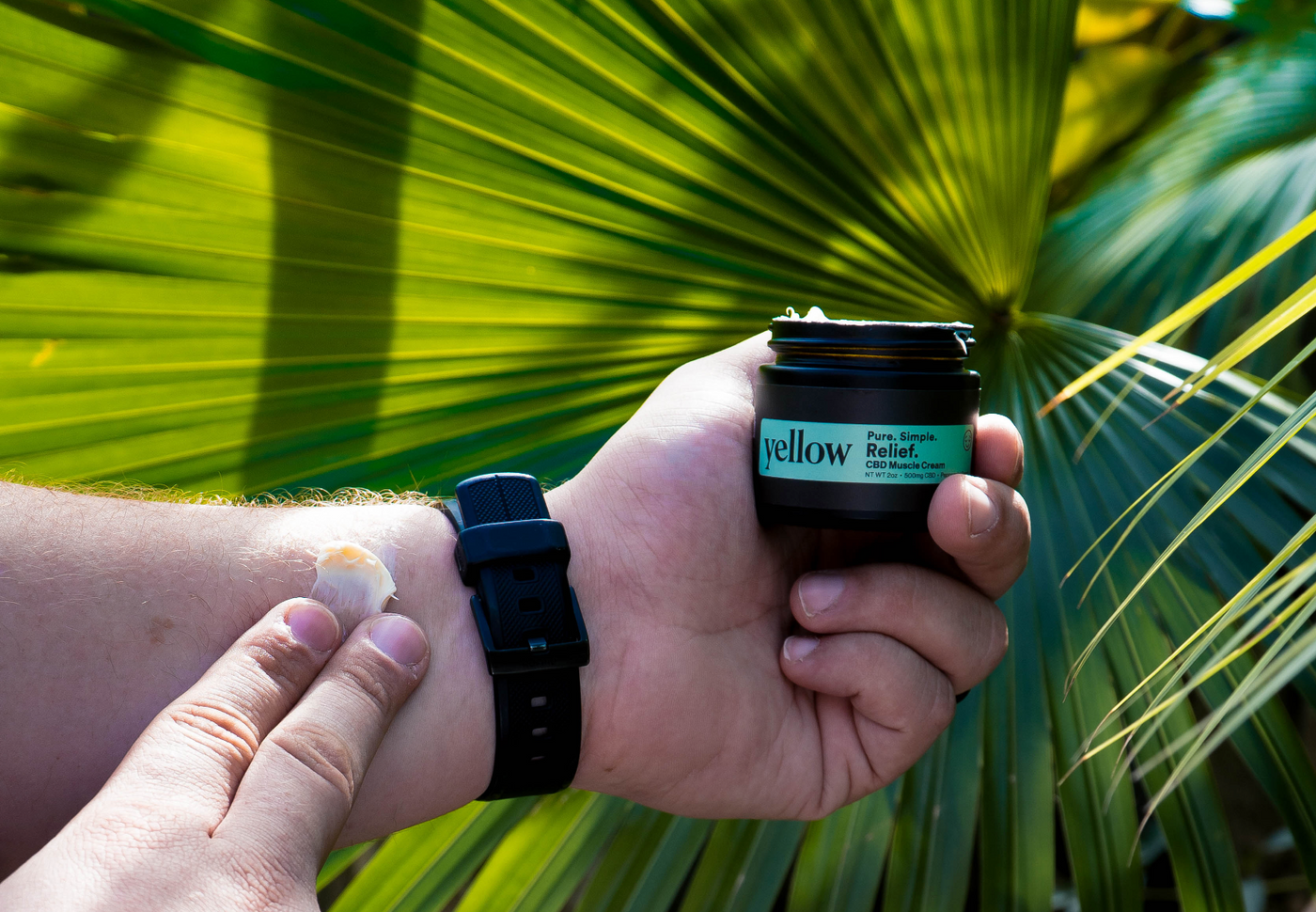 A Beginner's Guide to CBD Body Salve: Everything to Know